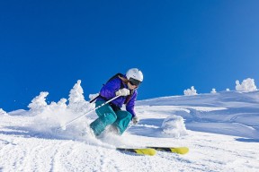 爱游戏官方-美国马术协会授予斯蒂芬·彼得斯“年度最佳教练员”称号。
