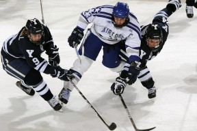 爱游戏体育（AYX）官方APP下载-“足球场新建项目落地，助力推广全民运动”，新建足球场政策